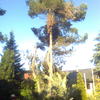 Imagen0329
