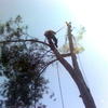 Imagen0335
