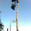Imagen0338