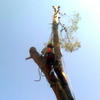 Imagen0341