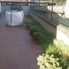 Inicio desherbado