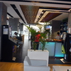 Interior Cafetería Mamut