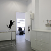 Interior consulta Clínica Veterinaria