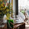 interiores, decoración y paisajismo en Pozuelo de Alarcón