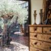 interiores, decoración y paisajismo en Pozuelo de Alarcón