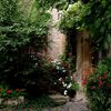 Jardín