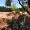 Jardín