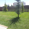 Jardín acabado