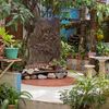 Jardín con estatua