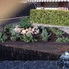 jardin en dosrius