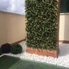 Jardín Japonés 2