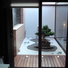 Jardin japones