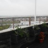 Jardineras de tarima tecnologica