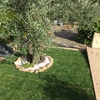 Jardinería 