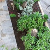 jardines