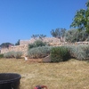 Jardines