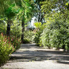 Jardínes 2