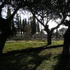 JARDINES DEL CUARTON