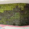 jardines verticales