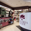 Lencería Ascen