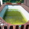 Limpieza de cal en piscina de poliester