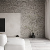 Living room.