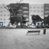 Local