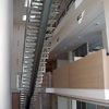Locales Comerciales y Actividades
