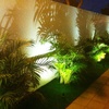 Luces y sombras