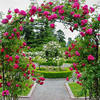 Mantenimiento de jardines