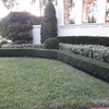 Mantenimiento de Jardines