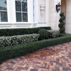 Mantenimiento de Jardines