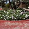 mantenimiento general jardin
