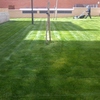 mantenimiento pradera cesped