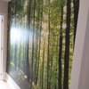 Mural bosque profundidad