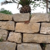 Muro piedra