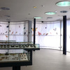 Museo de la Vida