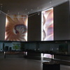Museo de la Vida