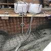 Obra de piscina Irregular