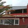 Palmera