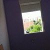 Pared Violeta