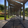 Parque de Los Juncos