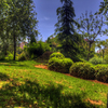 Parque de Los Juncos