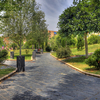 Parque de Los Juncos