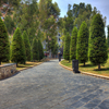 Parque de Los Juncos