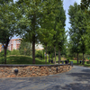 Parque de Los Juncos