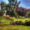 Parque de Los Juncos