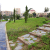 Parque de Los Juncos