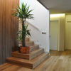 Parquet flotante