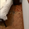 Parquet Olivo